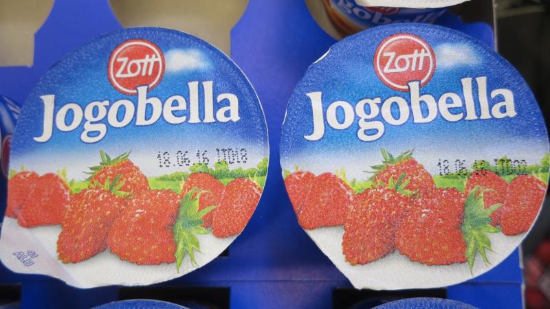 Zott Jogobella zahradní a lesní jahoda