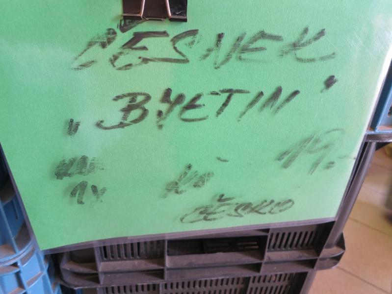 Česnek čerstvý, odrůda Bjetin