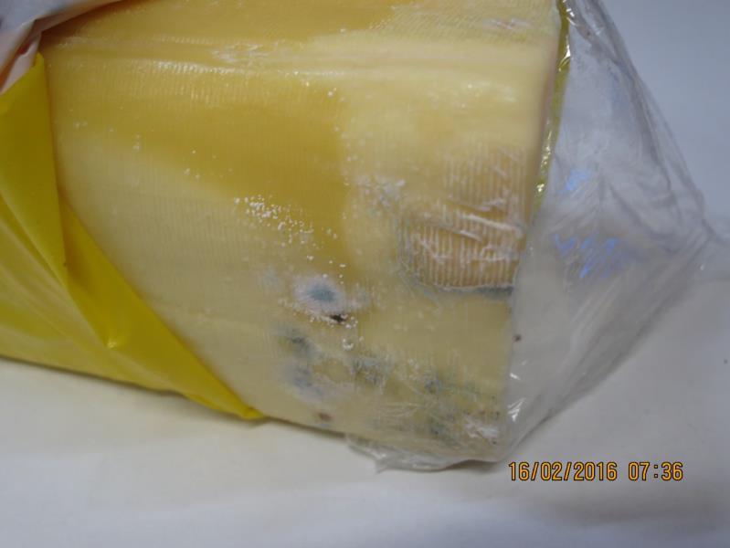 Gouda 48% - polotvrdý plnotučný sýr