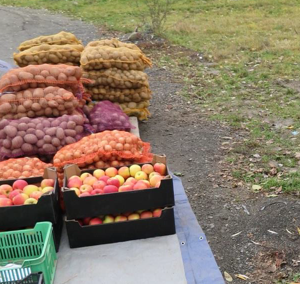 Konzumní brambory žluté, na ceduli u pytlů s bramborami označena údaji: odrůda Adéla, varný typ A