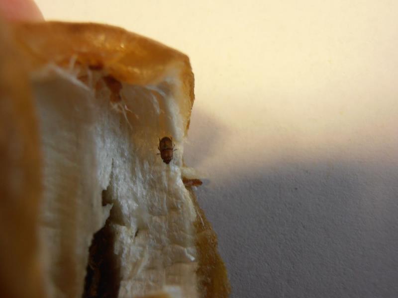 Illustrative photo no. 7