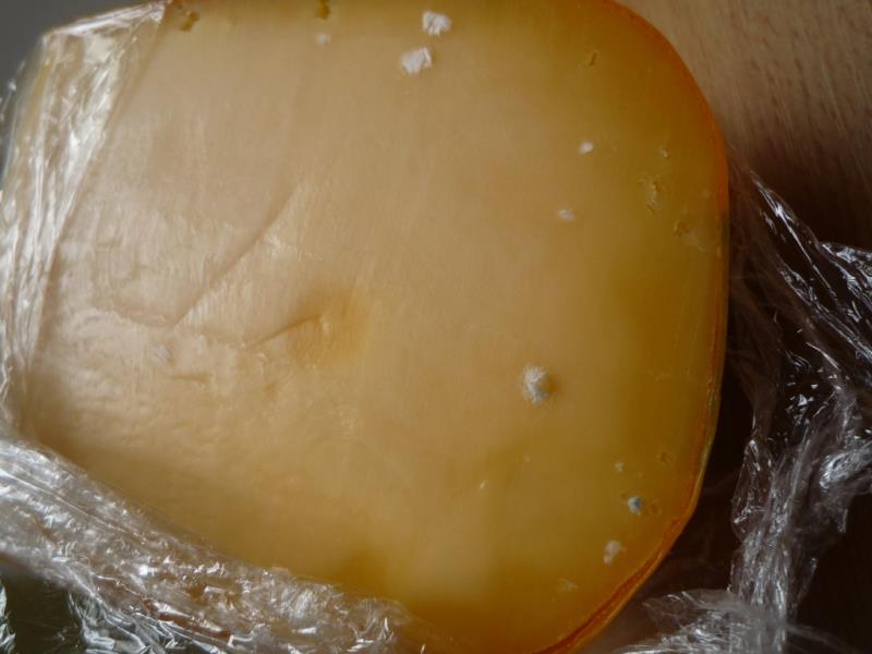GOUDA BOCHNÍK