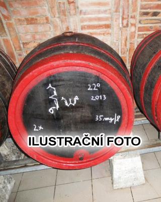 Merlot suché, původ Španělsko