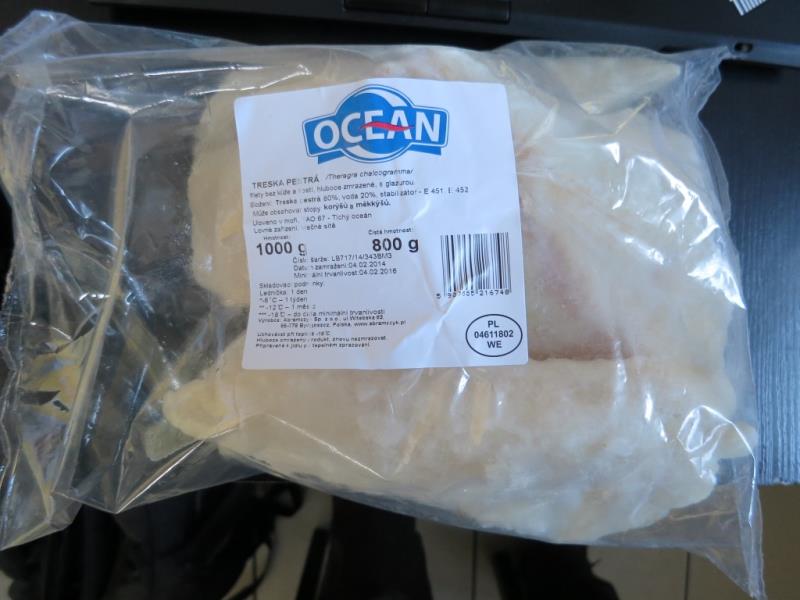 OCEAN TRESKA PESTRÁ