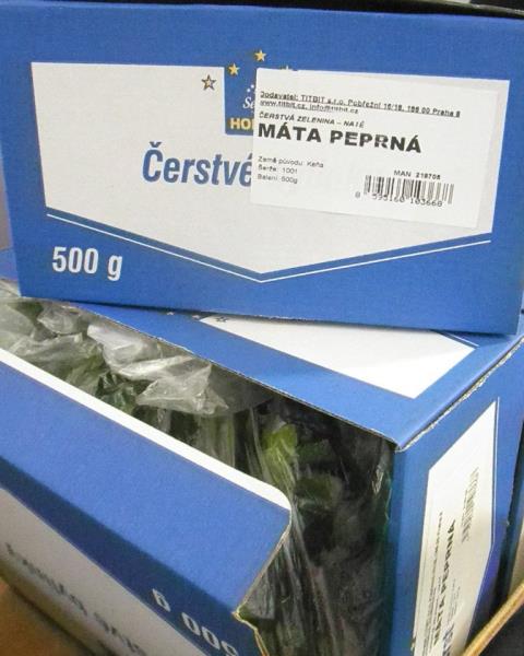 Máta peprná
