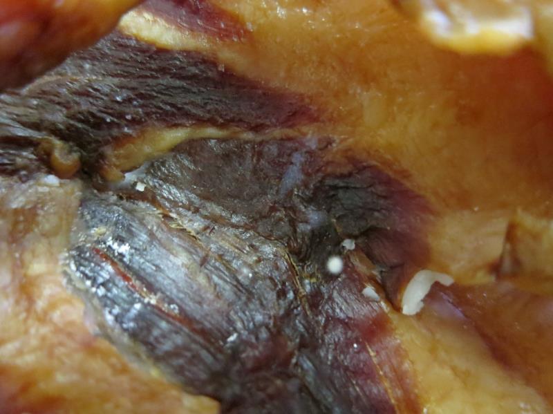 Slanina