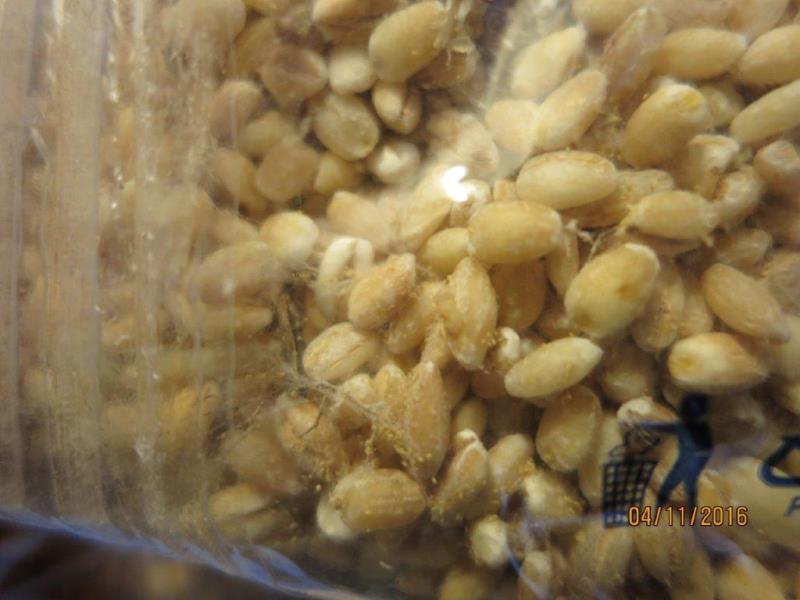 Ilustrační fotografie č. 2