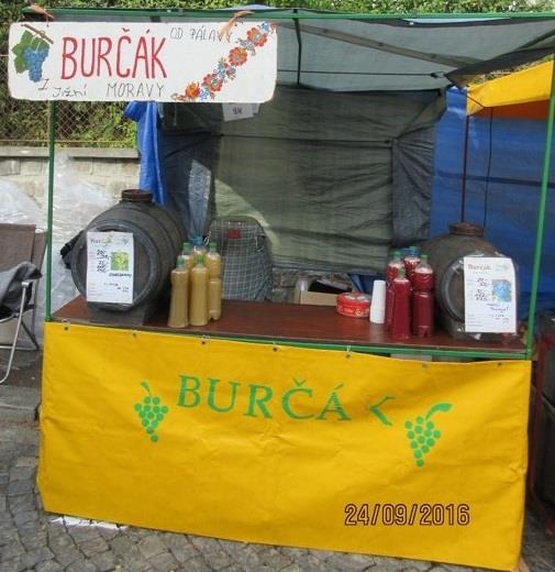 BURČÁK z Jižní Moravy, Víno Blažej
