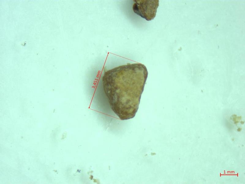 Illustrative photo no. 5