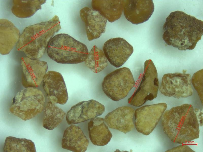 Illustrative photo no. 6