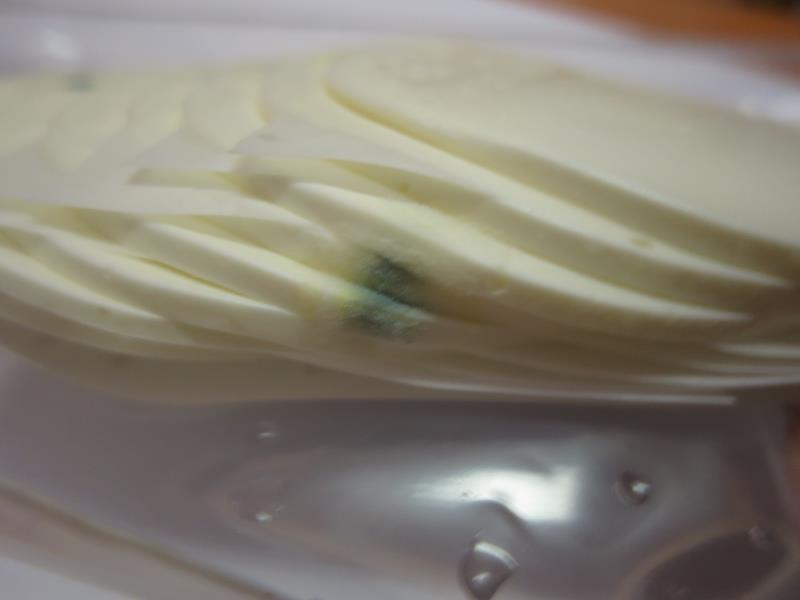 Illustrative photo no. 5