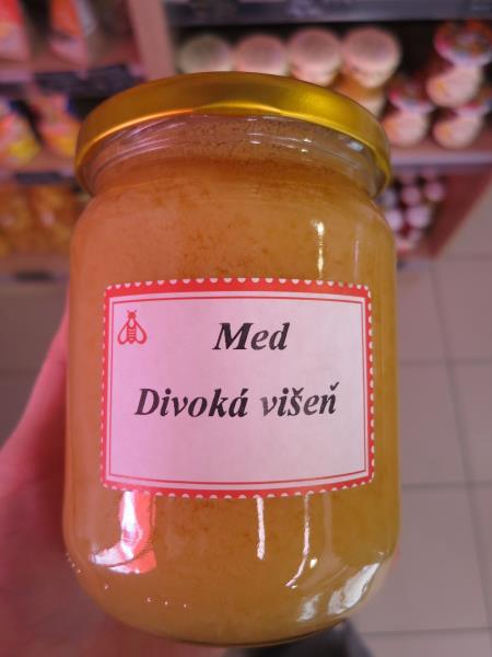 Ilustrační fotografie č. 1