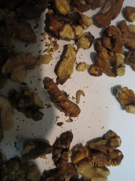 Illustrative photo no. 3