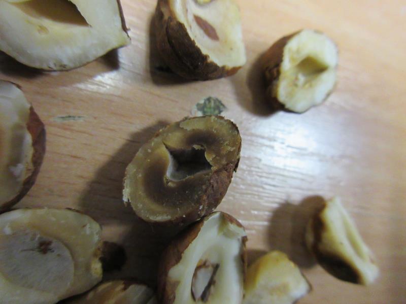 Illustrative photo no. 8