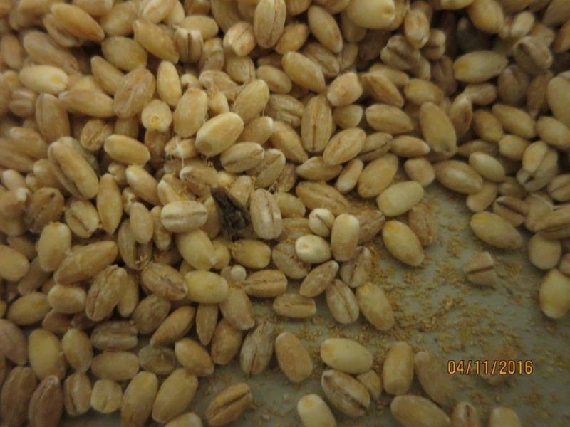 Ilustrační fotografie č. 4