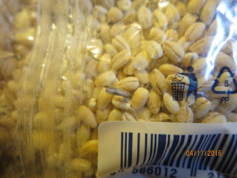 Ilustrační fotografie č. 3