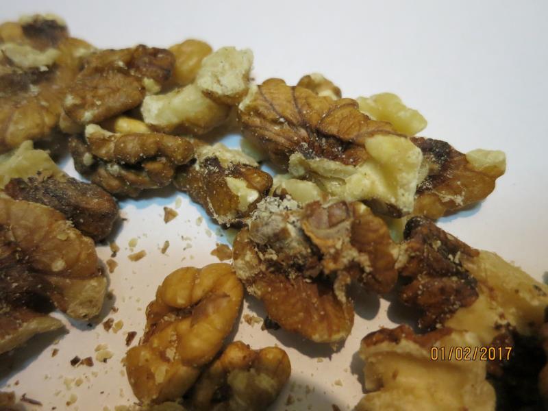 Illustrative photo no. 2