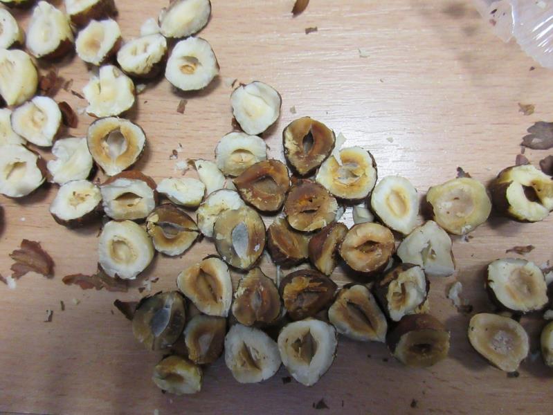 Illustrative photo no. 5