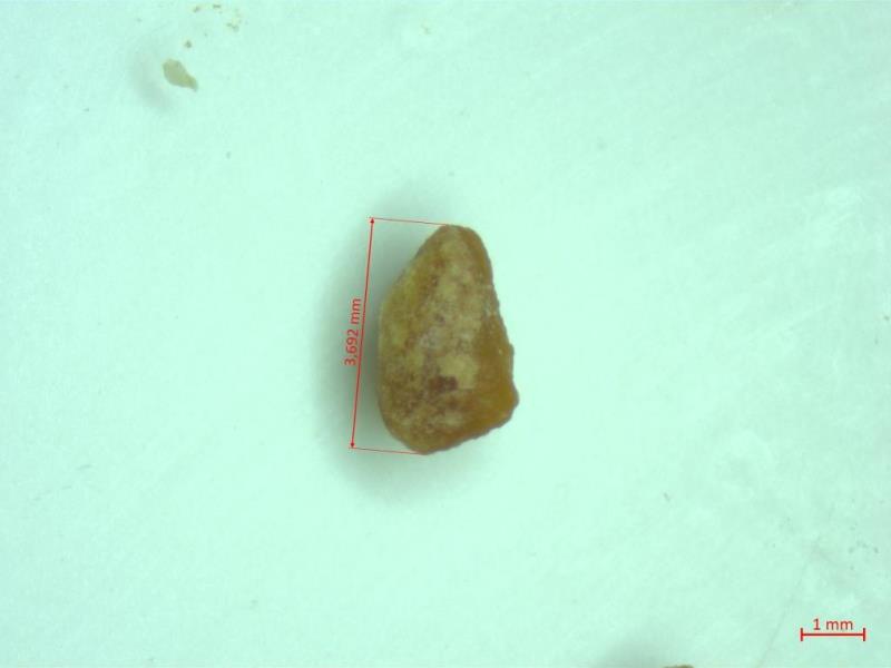 Illustrative photo no. 4