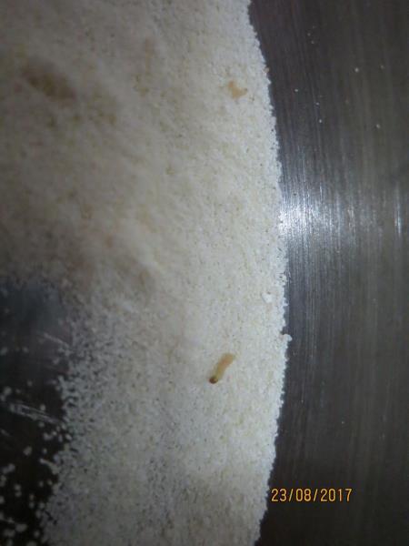 PŠENIČNÁ KRUPICA JEMNÁ DEHYDROVANÁ