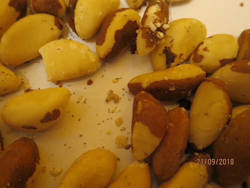 Illustrative photo no. 6
