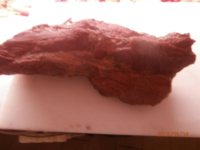 Illustrative photo no. 1