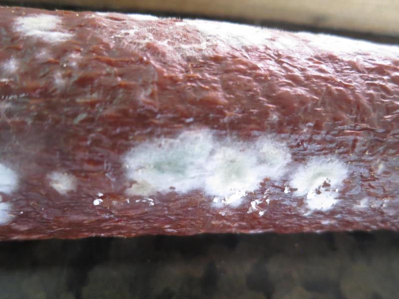 Illustrative photo no. 3