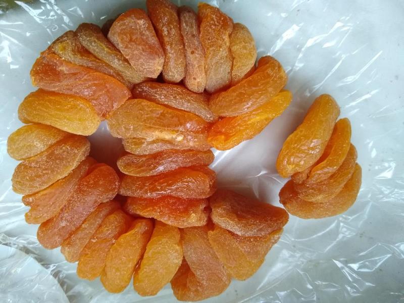 Illustrative photo no. 6