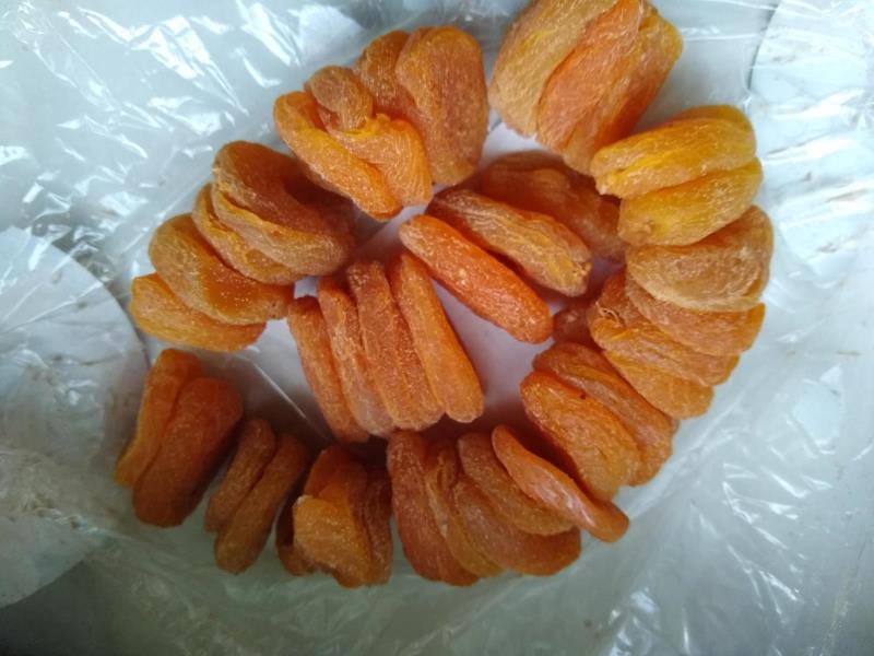 Illustrative photo no. 7