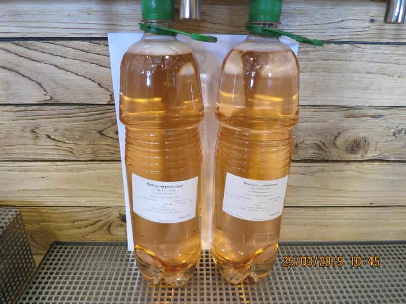 SAUVIGNON víno bílé polosladké, MZV, z.p. ČR, alk. 12 %