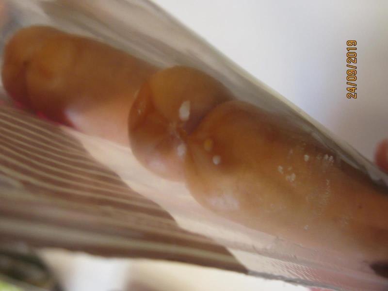 Illustrative photo no. 6