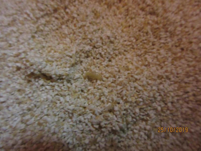 Illustrative photo no. 2