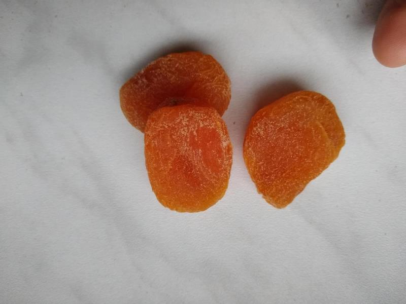 Illustrative photo no. 8