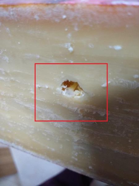 Ilustrační fotografie č. 4