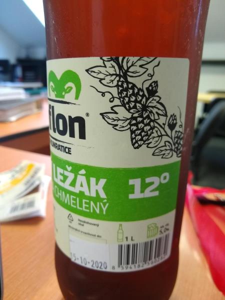 Ilustrační fotografie č. 2