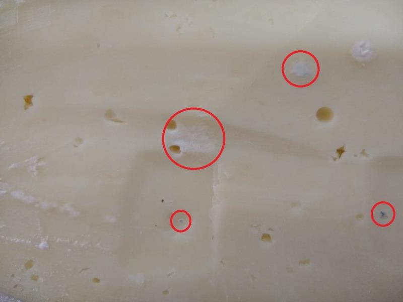 Ilustrační fotografie č. 5