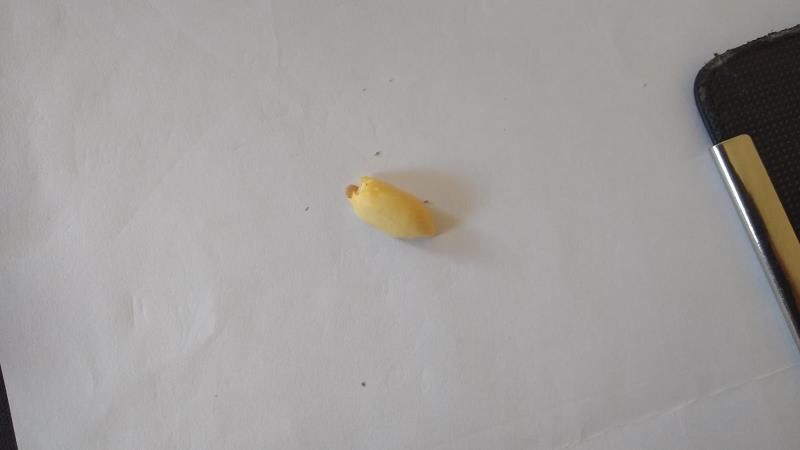 Illustrative photo no. 2