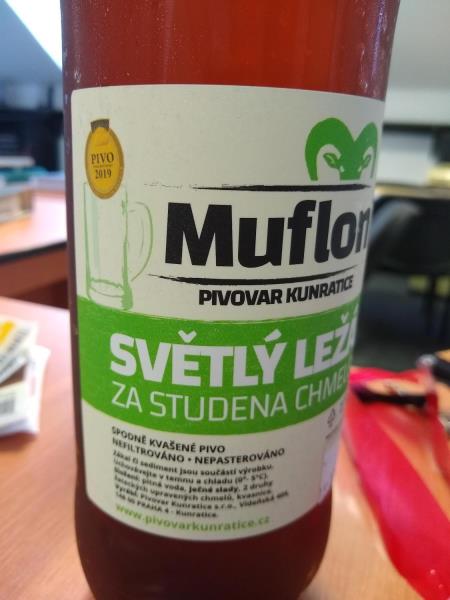SVĚTLÝ LEŽÁK ZA STUDENA CHMELENÝ