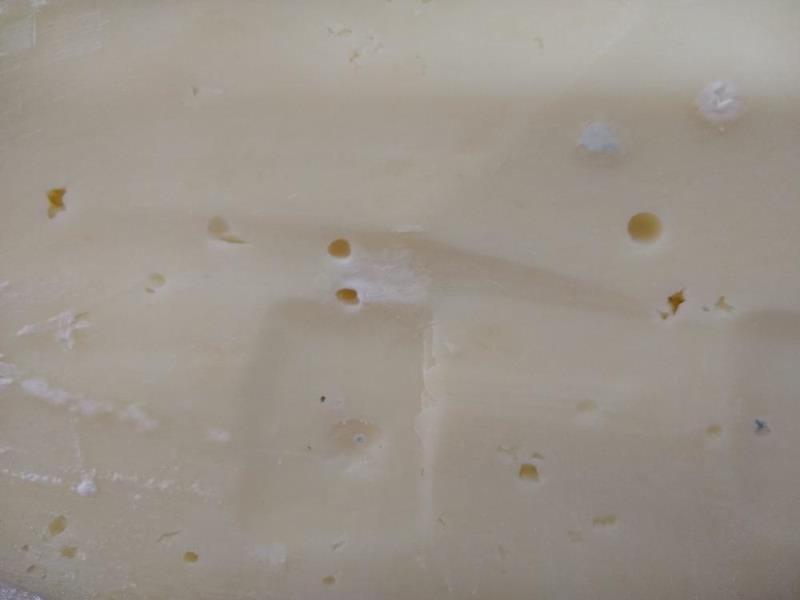 Ilustrační fotografie č. 4