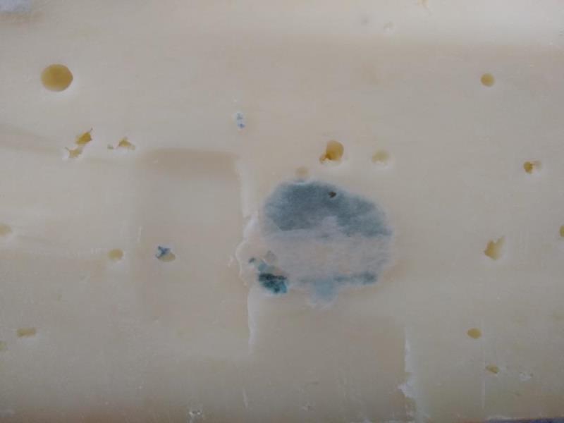 Ilustrační fotografie č. 3