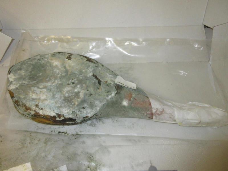 Illustration photo No. 7