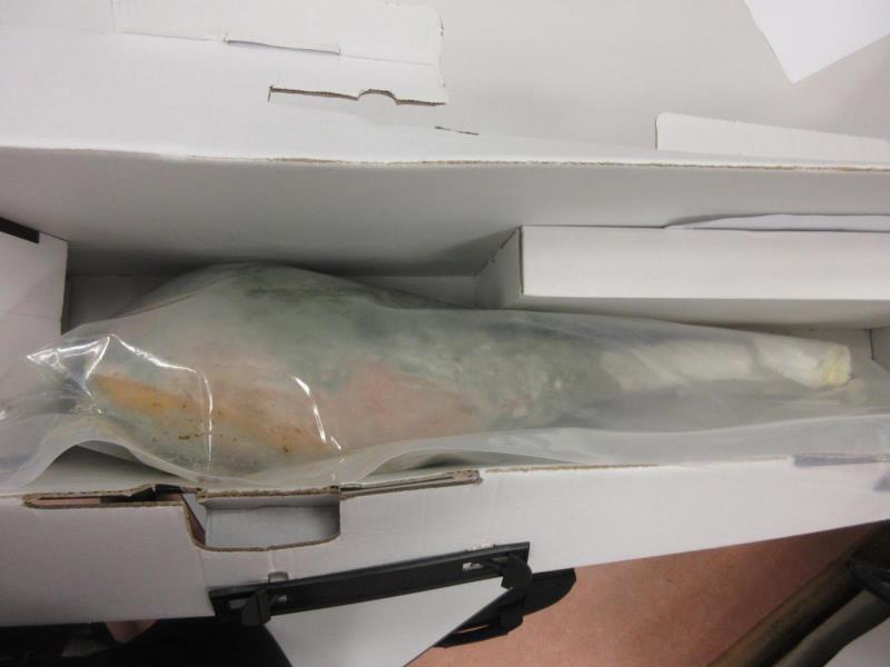 Ilustrační fotografie č. 3