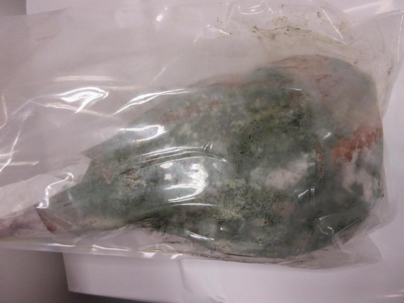 Ilustrační fotografie č. 5