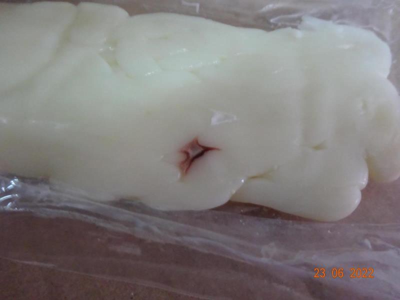 Ilustrační fotografie č. 3