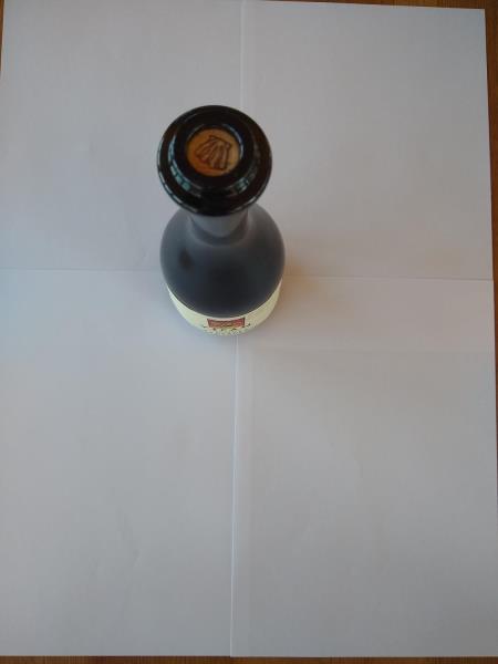 Illustrative photo no. 7