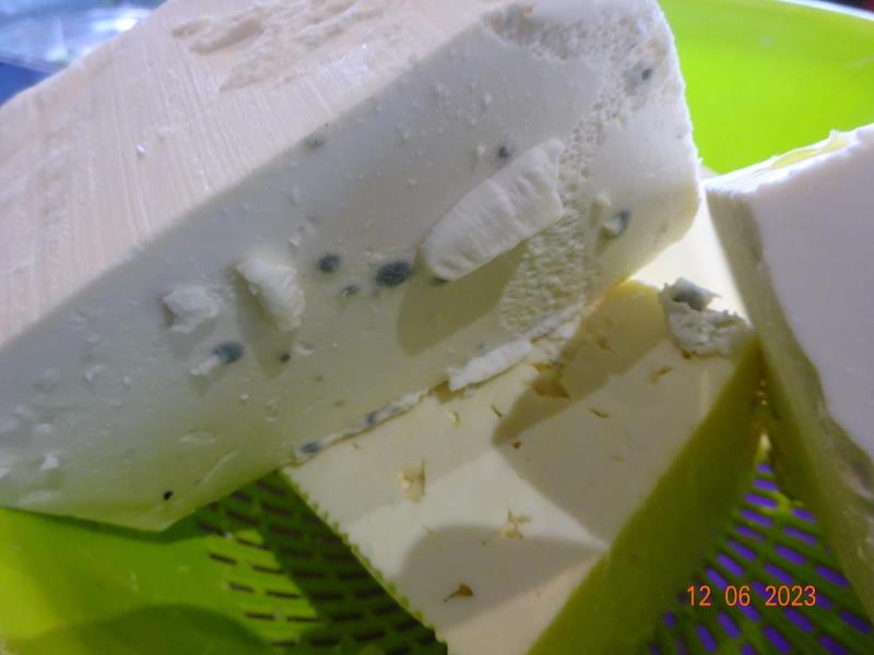 Ilustrační fotografie č. 4