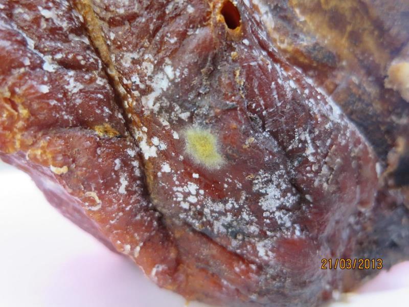 Illustrative photo #4