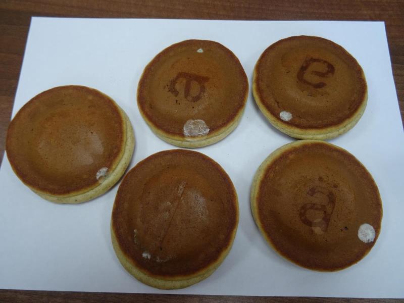 Illustrative photo no. 11