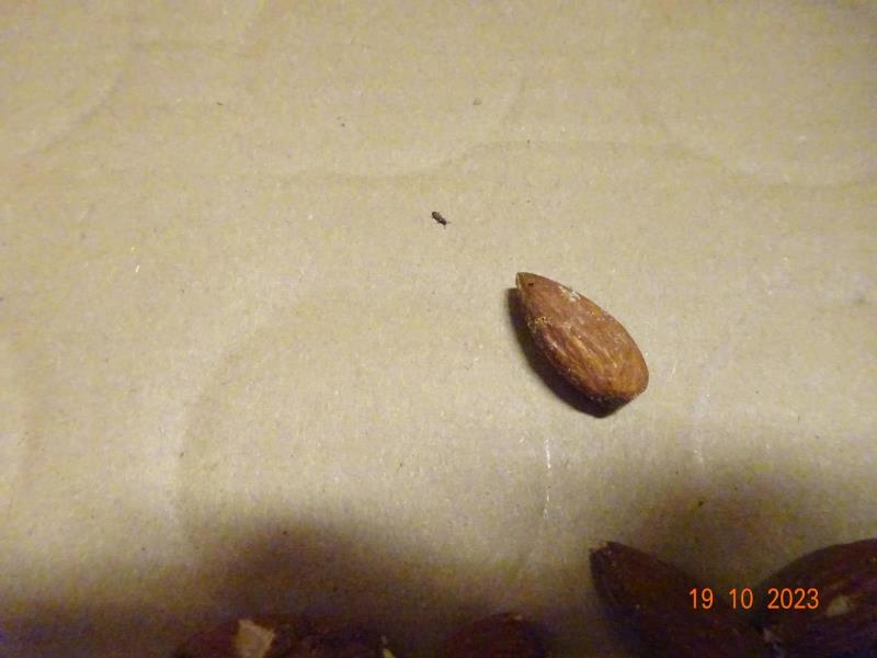 Illustrative photo no. 4