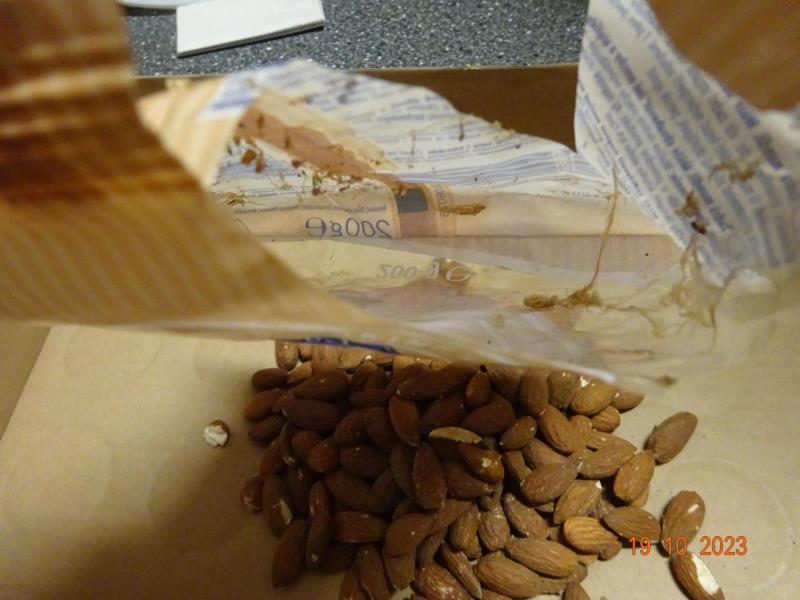 Illustrative photo no. 7